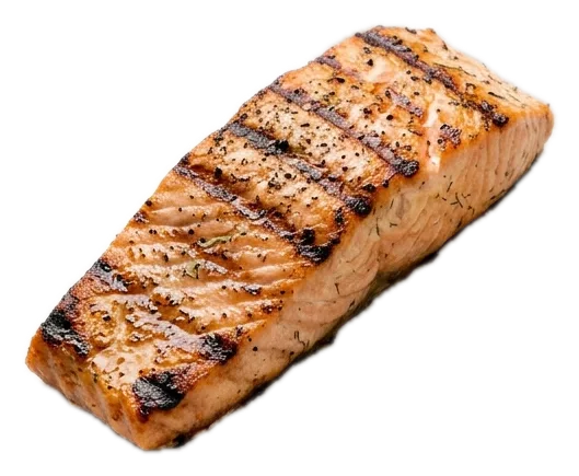 Salmon